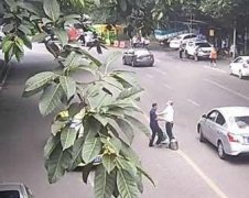 司机行人互不相让 马路中间上演真人格斗