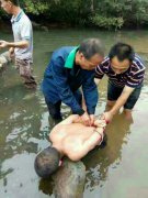 重庆系列强奸案嫌犯落网