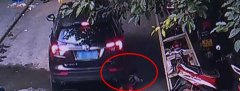 5岁男孩遭车碾压竟无事 转身摸臀大哭