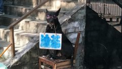 重庆街头现萌犬 戴墨镜叼招牌帮主人揽生意