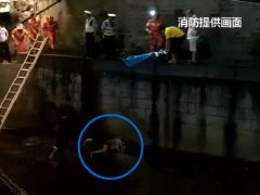 重庆一女子欲跳河轻生   水位太浅被摔惨了