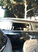 小偷专攻同种车  不砸窗翻完东西就溜