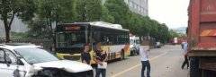 为避让小狗 男子胸部撞到方向盘狂吐血