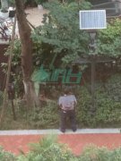 男子光天化日竟在小区屙尿  居民：辣眼睛