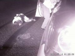 男子深夜醉卧马路酣然入睡 交巡警一查竟是醉驾