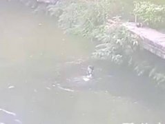 重庆一垂钓老人跌入水中 发生意外