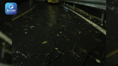 今日凌晨 雷电大风暴雨突袭山城