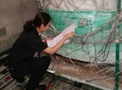 八条美国大鲨鱼“打飞的”来渝