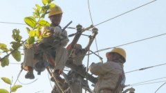 点赞！重庆高温下电杆上的“吉他”手