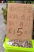 重庆街头自取硬币实验 结果很暖心