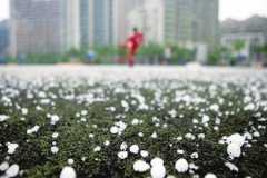 注意！重庆未来三天或出现冰雹