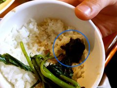 女子餐馆请朋友吃饭  吃到蟑螂炒青菜