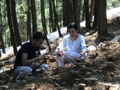 渝北试种灵芝成功 小伙伴们快来采仙草
