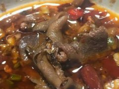 女子吃火锅捞上一只“小强” 生无可恋