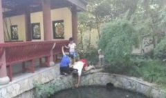 孩子闹着要田螺  家长二话不说探进池子捞