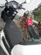 男子遭遇高空抛烟头  坐骑被烧出个洞