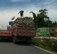 大货车超高超限上高速 被罚款五百记一分