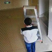 男子光天化日偷梯子 老板：希望他看到能归还