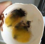 女子超市买鸡蛋 回家发现一连几个都是坏蛋