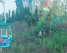 洋人街现猥琐男   市民：这是原始人？