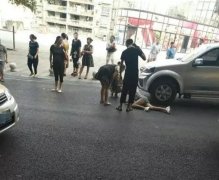 女子抱着小狗横穿公路  撞上下行的轿车