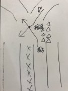 两车相撞原本女子占上风 结果赔了夫人又折兵