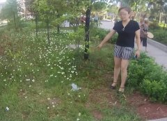 女子玩自拍嫌手提包碍事 丢地上后被人捡走
