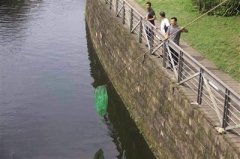 湿地公园鱼儿翻塘 市民一起捕捞鱼