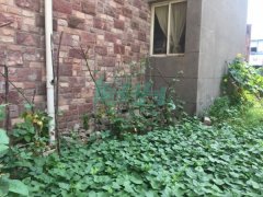 <b>邻居在小区内圈地种菜  其他业主难忍菜园异味</b>