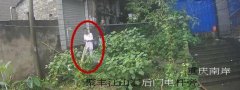 嫌疑人趁车主卸货盗走挎包 民警两小时迅速擒贼挽损