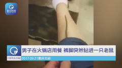 男子烫火锅被老鼠钻裤脚 吓到食客连声尖叫