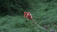男子醉酒被困陡坡消防成功救援