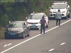 男子高速停车遛狗 被执法监控抓现行