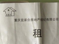 中介卷款消失？租客房东“欲哭无泪”