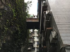 居民楼外现“空中花园” 看似一楼却在五楼