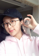 美女养“耗子”当宠物 会转圈还能帮捡垃圾