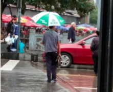 男子开车去买菜 车窗刚拉下两条蛇差点钻进来