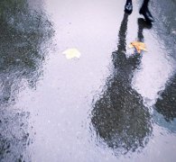 阳光短暂！重庆明起又迎降雨