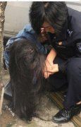 女孩过人行横道被撞伤 女民警跪地用腿当“枕头”