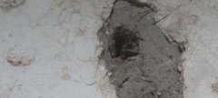 男子家墙面浸水 竟和楼上邻居这个行为有关
