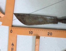携带家传杀猪刀欲上高铁：男子被依法行政拘留三日
