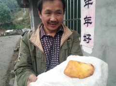 公鸡肚子长出奇怪东西　求鉴定是什么“宝物”
