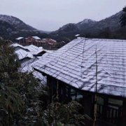 重庆金佛山降初雪 披白衣景色如画