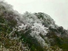 重庆涪陵高海拔地区迎来入冬首场降雪