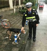 “比格”犬溜进校园  吓得保安求助民警
