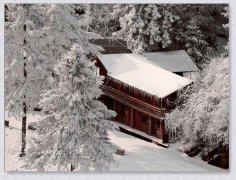 重庆城口黄安坝已切换到“冰雪模式”
