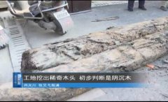 工地挖出大宝贝：疑似上千年 闻起来很香