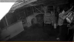 男子凌晨潜入鸽棚盗走16只信鸽 价值数万