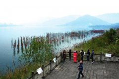 汉丰湖彩林成“网红”景观 吸引八方游客来