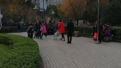 明后天重庆阴天为主  最高温13℃